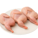 بوقلمون کامل تازه